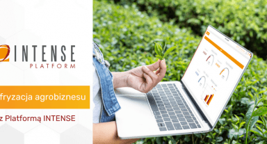 Platforma INTENSE -  wykorzystanie low-code w cyfryzacji agrobiznesu
