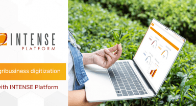 INTENSE Platform - Using Low Code in Agribusiness Digitization